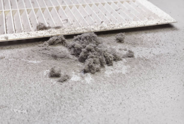 Best Affordable Duct Cleaning Services  in Estancia, NM