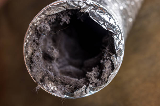 Best Air Duct Cleaning Company Near Me  in Estancia, NM
